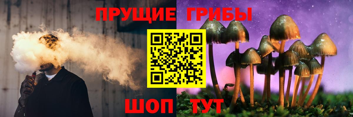 Псилоцибиновые грибы Cubensis  Вход с VPN  Скопин 